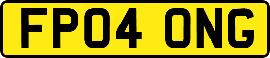 FP04ONG
