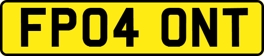 FP04ONT
