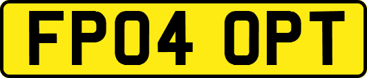 FP04OPT