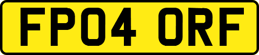 FP04ORF