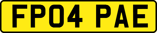 FP04PAE