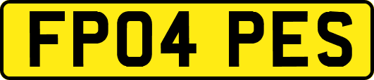FP04PES