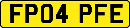 FP04PFE