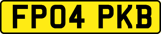 FP04PKB