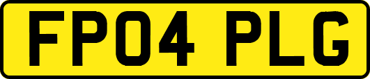 FP04PLG