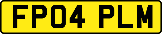 FP04PLM
