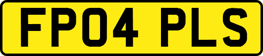 FP04PLS