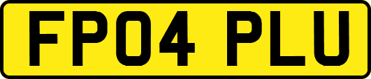 FP04PLU