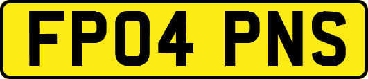 FP04PNS