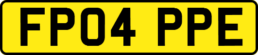 FP04PPE