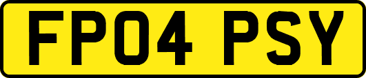 FP04PSY