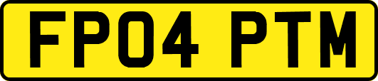 FP04PTM