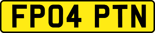 FP04PTN