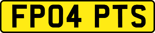 FP04PTS