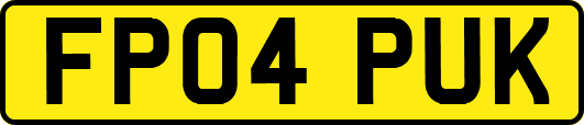 FP04PUK