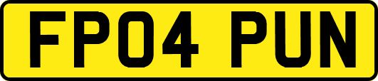 FP04PUN