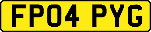 FP04PYG