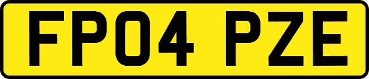 FP04PZE