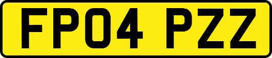 FP04PZZ