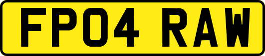 FP04RAW