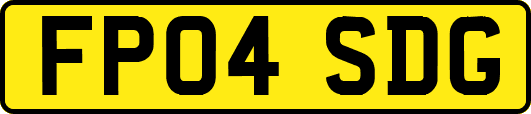 FP04SDG