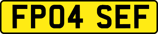 FP04SEF