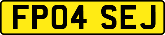 FP04SEJ