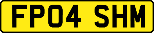 FP04SHM