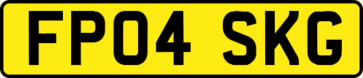 FP04SKG