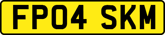 FP04SKM