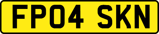 FP04SKN