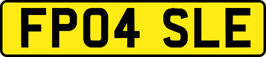 FP04SLE