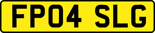 FP04SLG