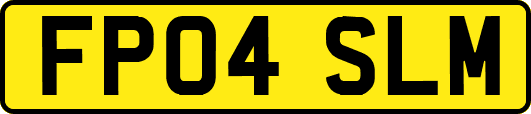 FP04SLM