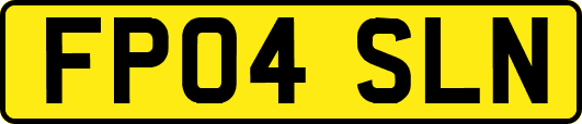 FP04SLN
