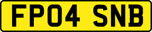 FP04SNB
