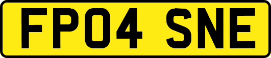 FP04SNE