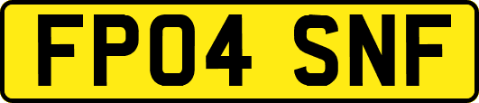 FP04SNF