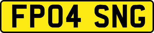 FP04SNG