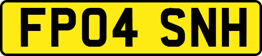 FP04SNH