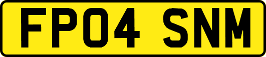FP04SNM