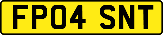 FP04SNT