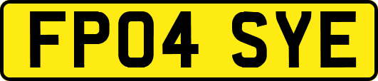 FP04SYE