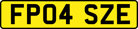 FP04SZE