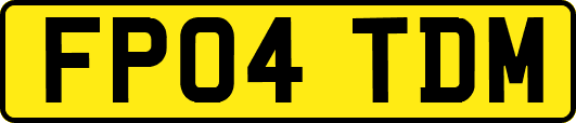 FP04TDM