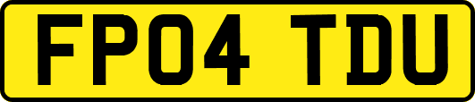 FP04TDU
