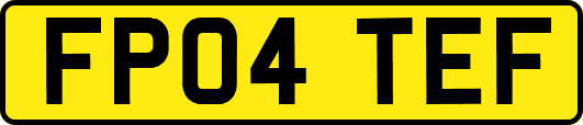 FP04TEF