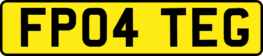 FP04TEG