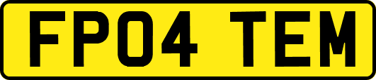FP04TEM