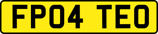 FP04TEO